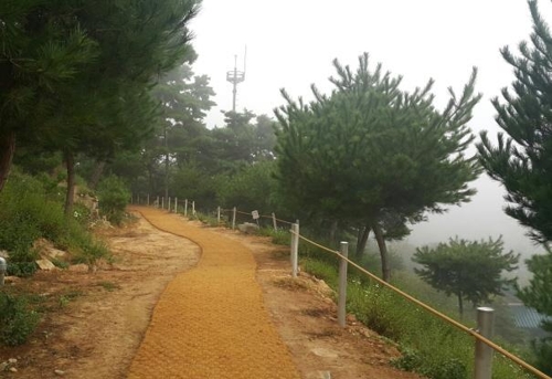 장군산 이미지