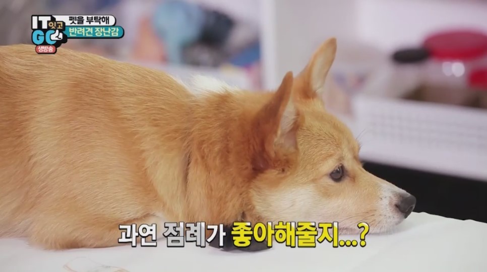 간식자판기 이미지