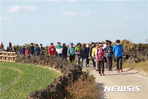 밭담 이미지