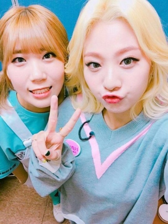 파이브디렉션 이미지