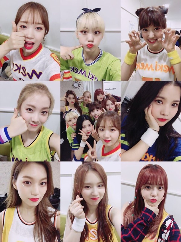 위키 이미지