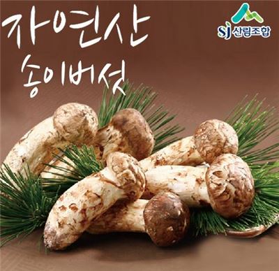 제이디인터내셔널 이미지