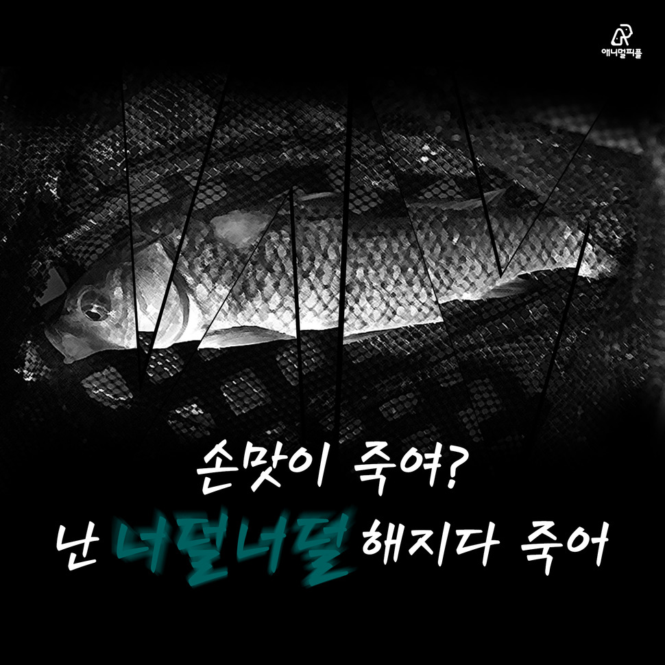 우리낚시터 이미지