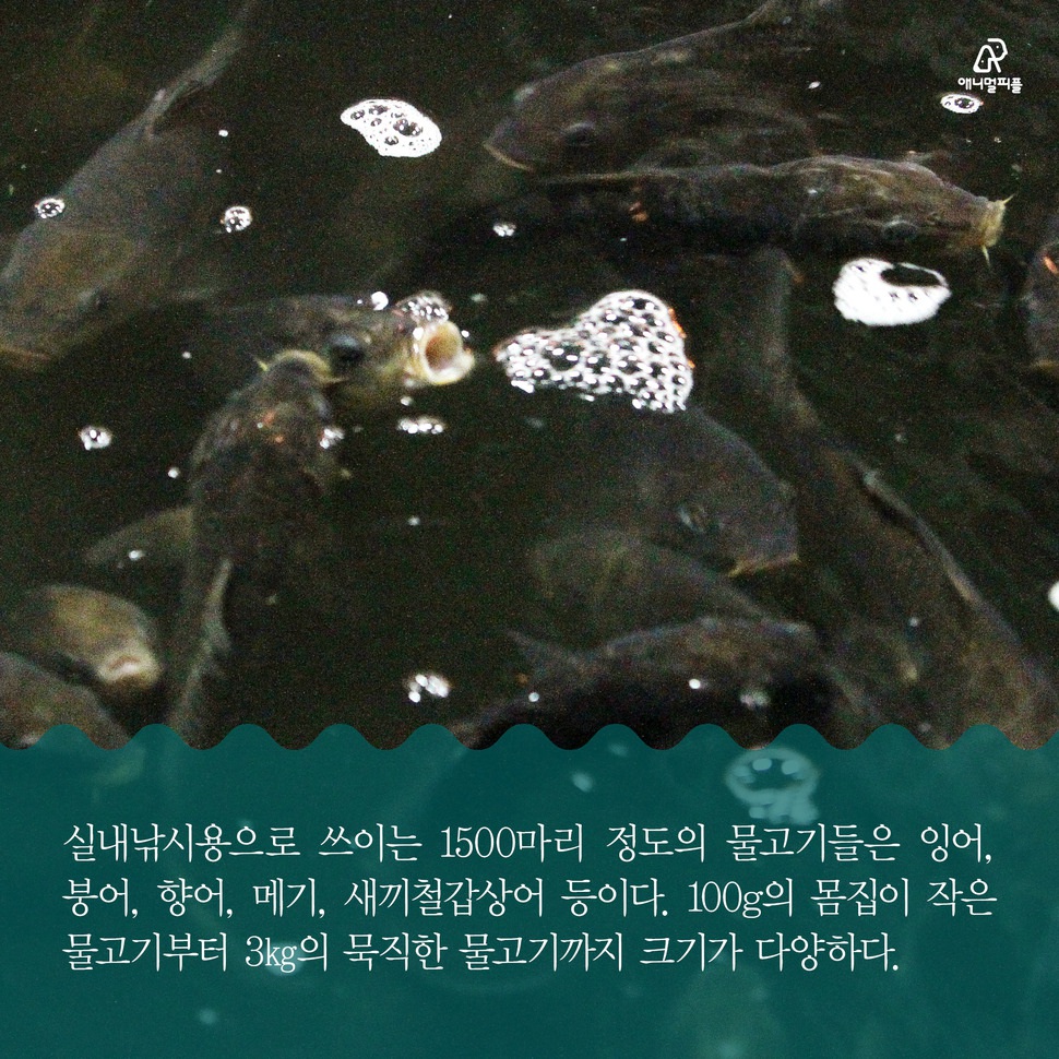 우리낚시터 이미지