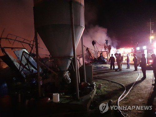 홍천양계 이미지