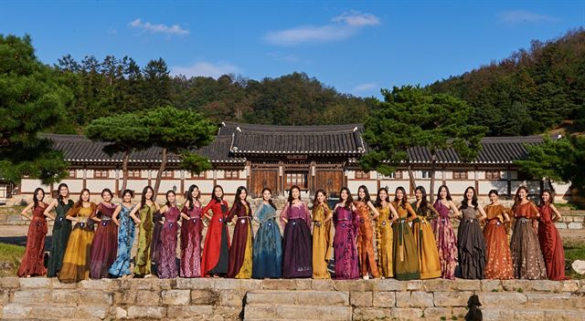 건강한인삼 이미지
