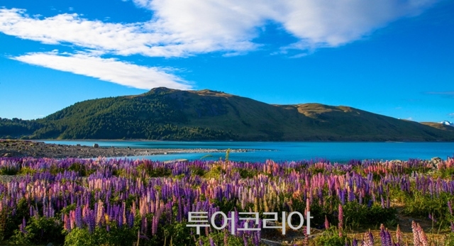 낭만투어 이미지