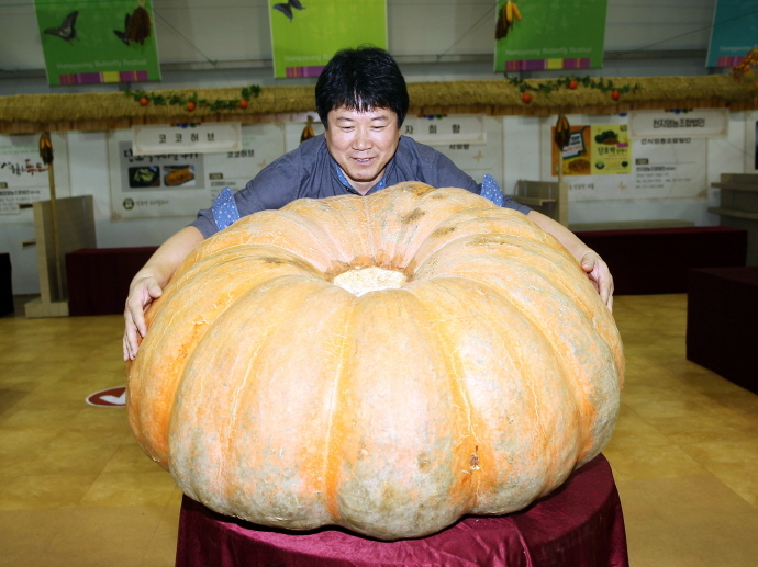 호박 이미지