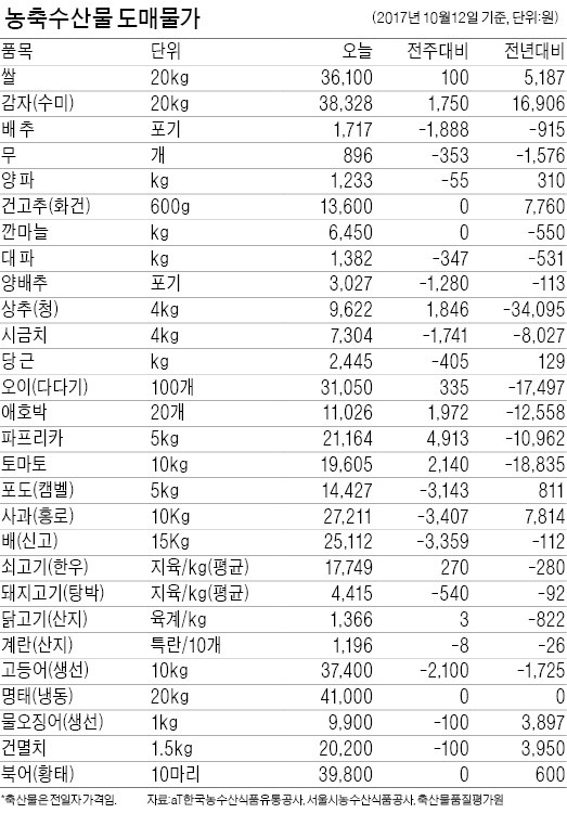 고랭 이미지