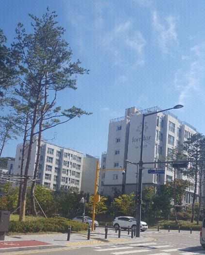 포레스타 이미지