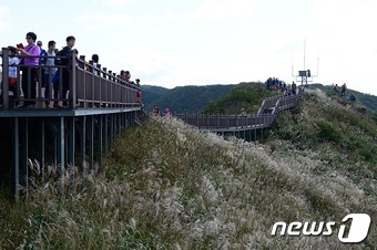 오서산 이미지
