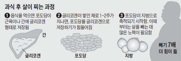 그래픽=김현기 기자