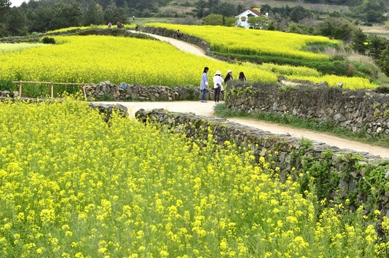 더튼튼건강 이미지