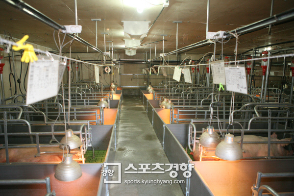 동부축산 이미지