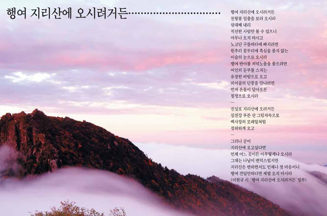 지리산큰나무 이미지