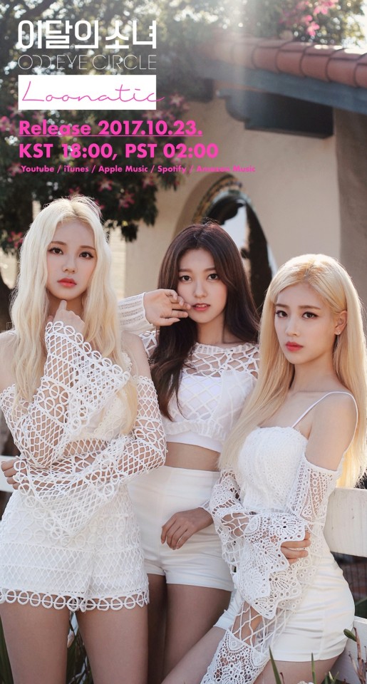오드인터내셔날 이미지