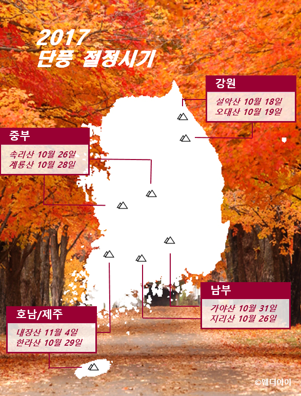 전국 주요 산 '단풍 절정 예상 시기' /자료=웨더아이