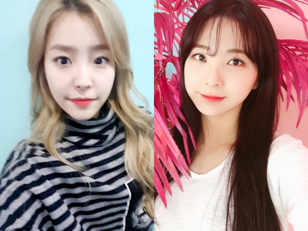 데이데이21 이미지