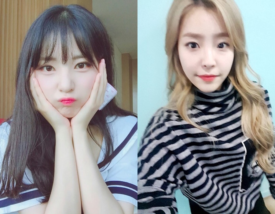 데이데이21 이미지