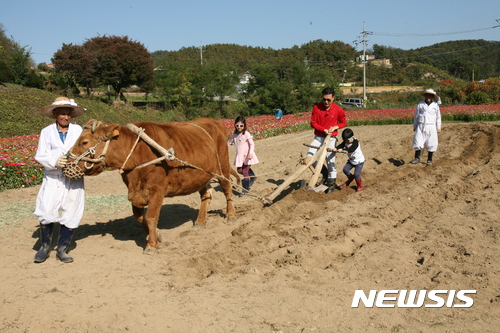 횡성한우 이미지