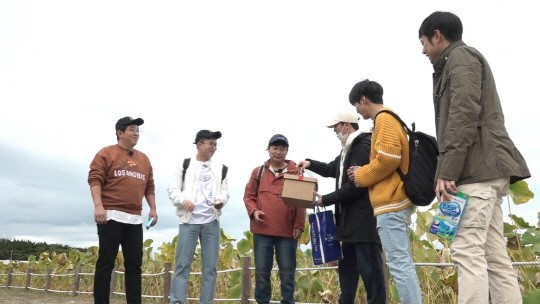 밤도깨비 이미지