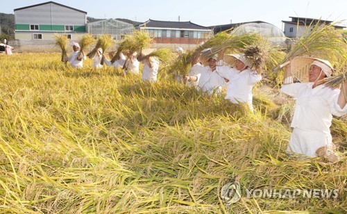 가을걷이 이미지