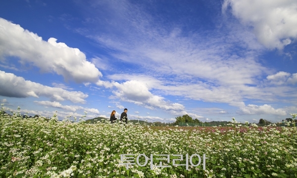 백마강 이미지