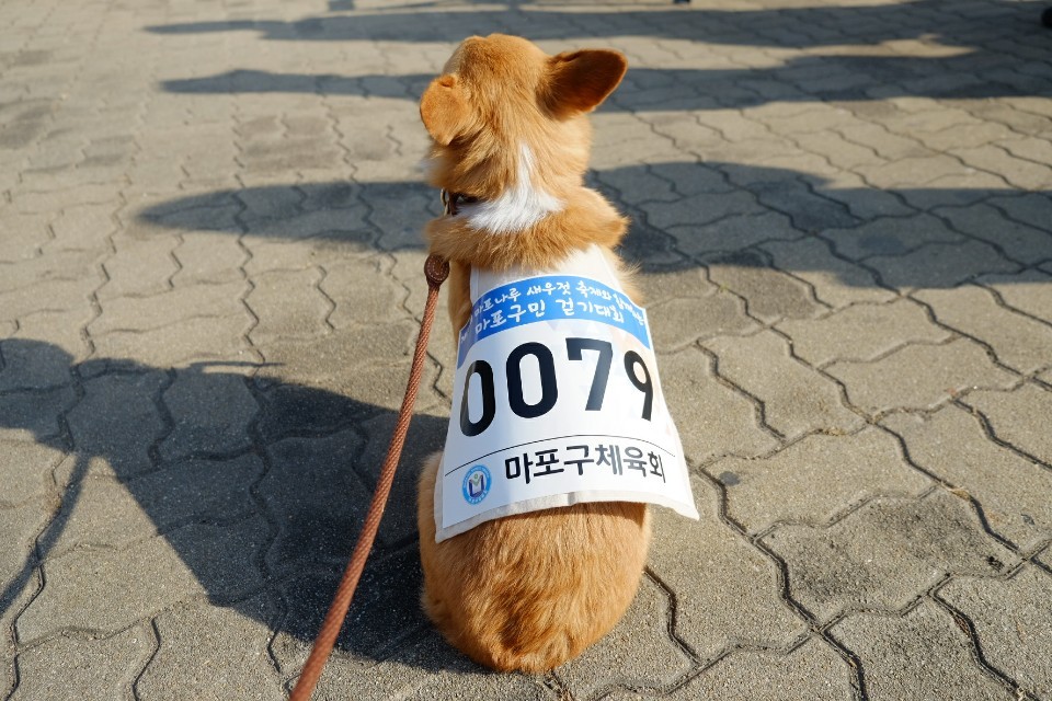 놀자 이미지