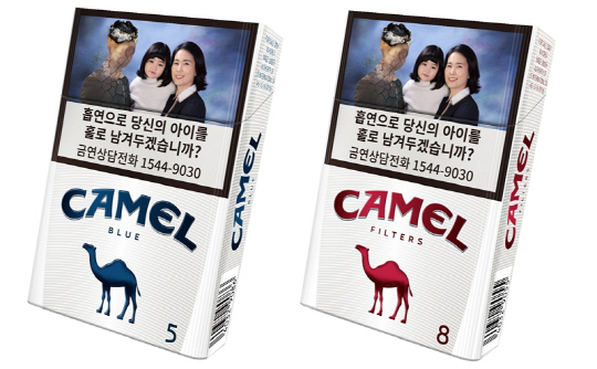 토토당구장 이미지