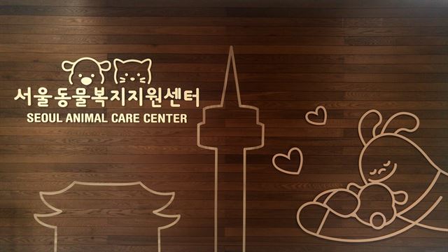 서울특별시 에스플렉스센터 이미지