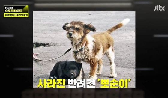 지지고 이미지