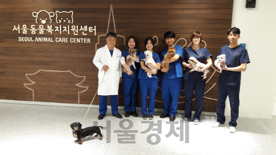 서울특별시 에스플렉스센터 이미지