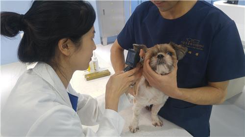 서울특별시 에스플렉스센터 이미지