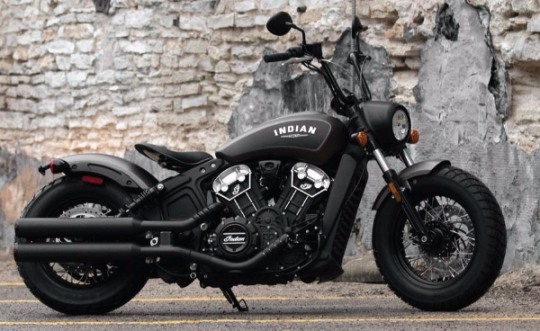 인디언 스카우트 바버