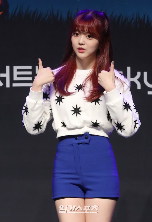 수연 이미지