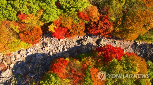 신촌어촌계 이미지