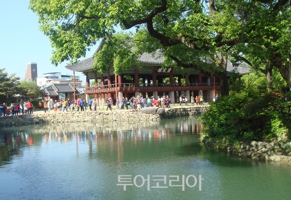 영화축산 이미지