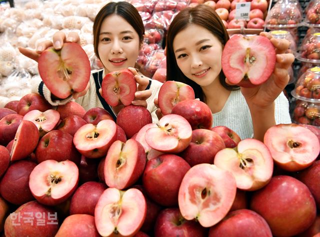 웰빙마트 이미지