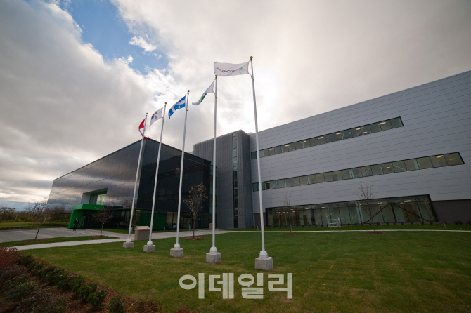 제제 이미지