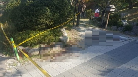 허씨횟집 이미지
