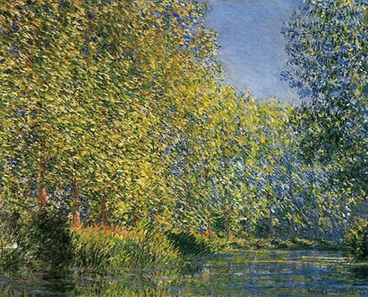 포플러(poplar) 이미지