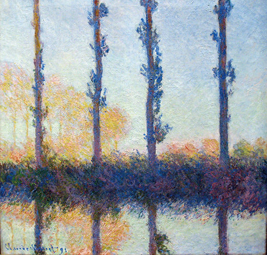 포플러(poplar) 이미지