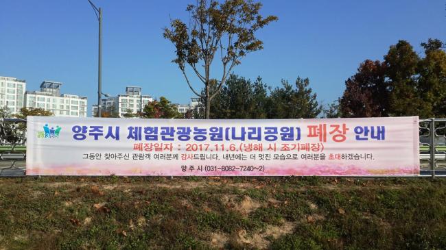 오전꽃농원 이미지