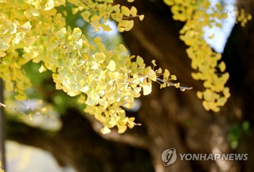 좋은날오후 이미지