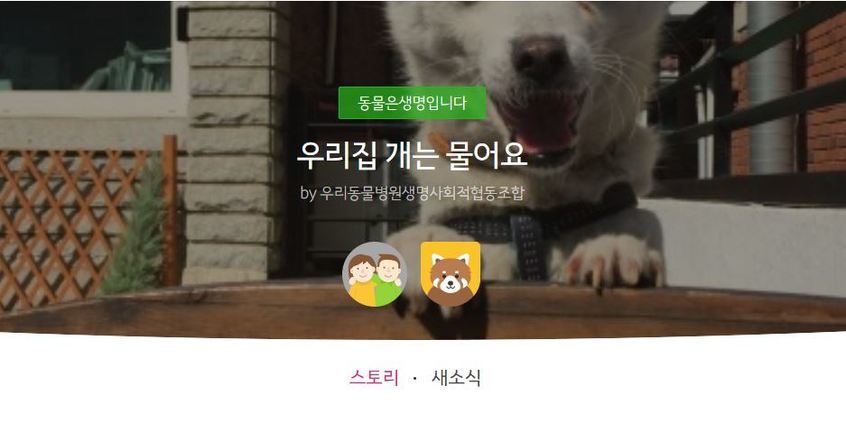 사회적협동조합반려동물 이미지