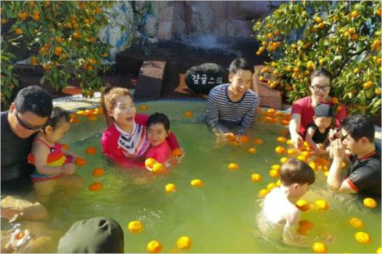 섭씨제주 이미지