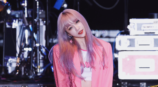 하니헤어 이미지