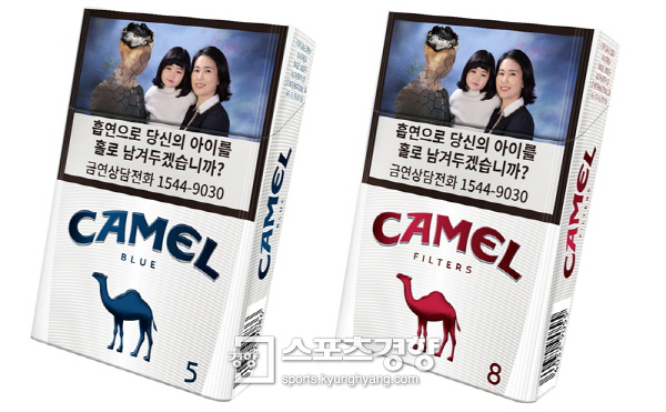 카멜 이미지