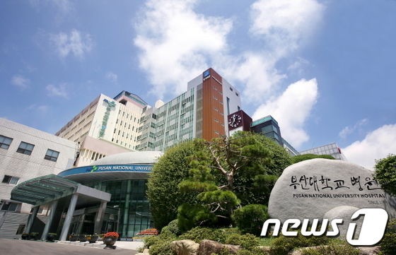 부산대로전산 이미지
