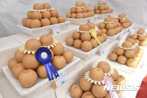 원주원예농협하나로클럽 이미지